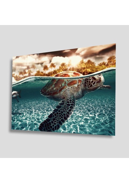 Sualtı Canlıları Cam Tablo 4mm Dayanıklı Temperli Cam