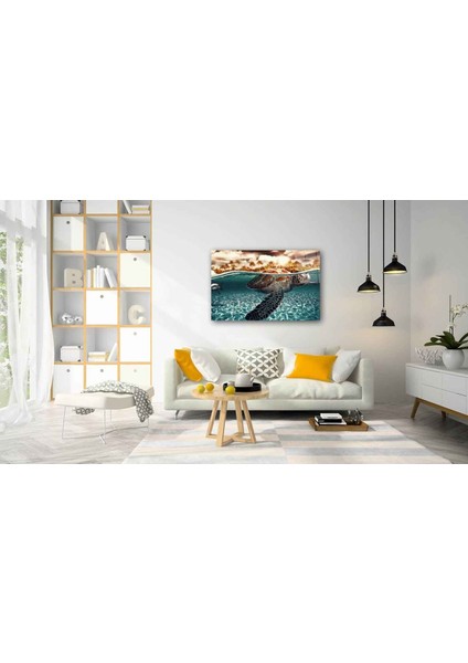 Sualtı Canlıları Cam Tablo 4mm Dayanıklı Temperli Cam fiyatları