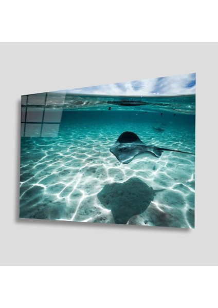 Sualtı Canlıları Cam Tablo 4mm Dayanıklı Temperli Cam