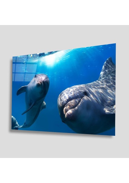 Sualtı Canlıları Cam Tablo 4mm Dayanıklı Temperli Cam