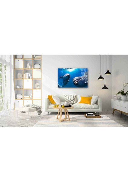 Sualtı Canlıları Cam Tablo 4mm Dayanıklı Temperli Cam fiyatları