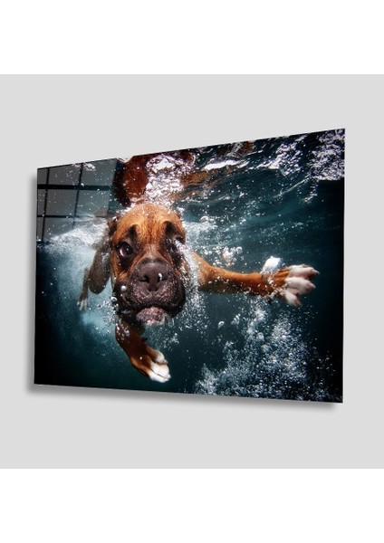 Sualtı Canlıları Cam Tablo 4mm Dayanıklı Temperli Cam