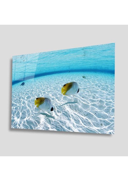 Sualtı Canlıları Cam Tablo 4mm Dayanıklı Temperli Cam