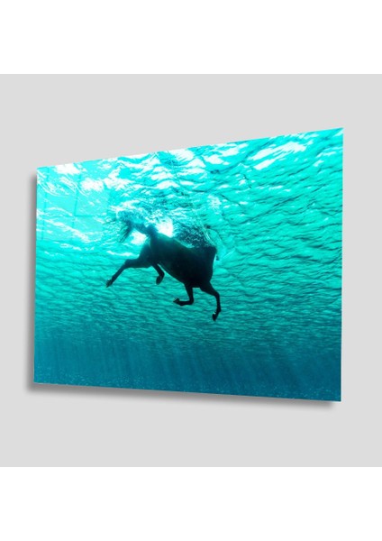 Sualtı Canlıları Cam Tablo 4mm Dayanıklı Temperli Cam