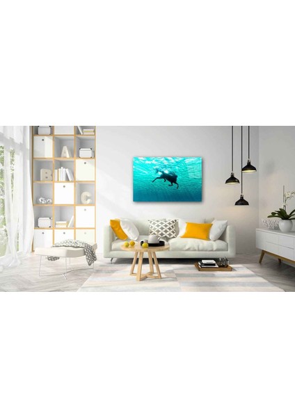 Sualtı Canlıları Cam Tablo 4mm Dayanıklı Temperli Cam fiyatları