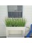 Yapay Çiçek Saz 60 cm Plants Grass 3ADET Dekoratif Çiçek 3