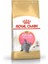 British Shorthair Yavru Kedi Maması 2 kg 1