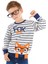 Tilki Çizgili Erkek Çocuk Sweatshirt 1