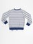 Tilki Çizgili Erkek Çocuk Sweatshirt 4