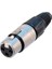 3 Pin Xlr Dişi Konnektör 1