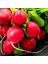Erkenci Naturel Doğal Fındık Turp Tohumu-25 Gram 1