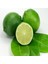 2 Yaş Tüplü Çekirdeksiz Meksika Lime Limon Fidanı 1