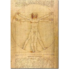 Cakatablo  Ahşap Tablo Leonardo Da Vinci Insan Anatomisi Görseli