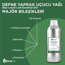 Etheloil Defne Yaprak Uçucu Yağı - Etheloil - 1 KG - Saf ve Doğal Uçucu Yağ - Üretici Firma