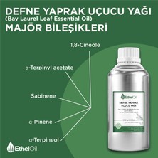 Etheloil Defne Yaprak Uçucu Yağı - Etheloil - 500 GR - Saf ve Doğal Uçucu Yağ - Üretici Firma
