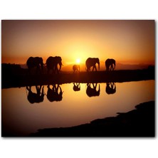 Cakatablo  Ahşap Tablo Günbatımında Nehir Kenarındaki Fil Ailesi