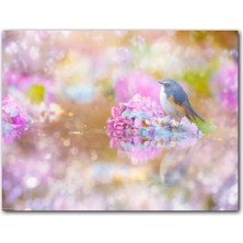 Cakatablo  Ahşap Tablo Göldeki Pembe Çiçeklerin Üzerindeki Mavi Kuş