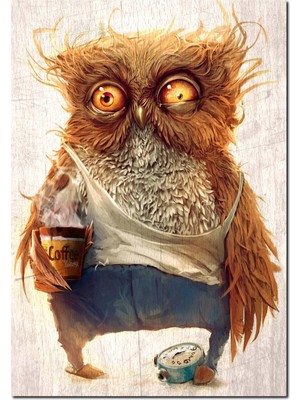 Cakatablo  Ahşap Tablo Uyanamayan Baykuş Görseli