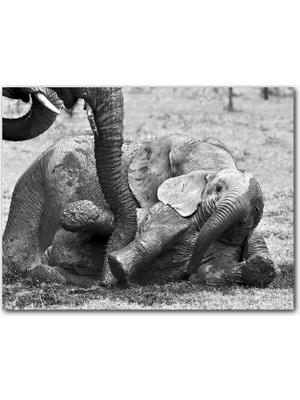 Cakatablo  Ahşap Tablo Annesiyle Çamurda Oynayan Yavru Fil Siyah Beyaz