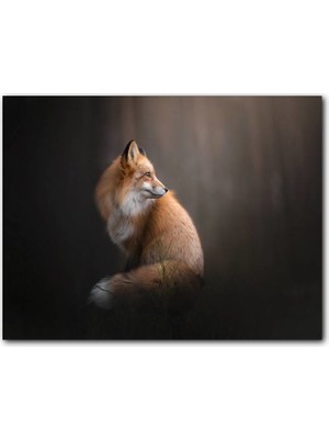 Cakatablo  Ahşap Tablo Işık Altındaki Kahverengi Tilki Flu Arkaplan