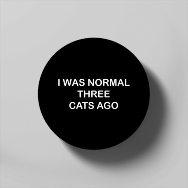 i was normal three cats ago