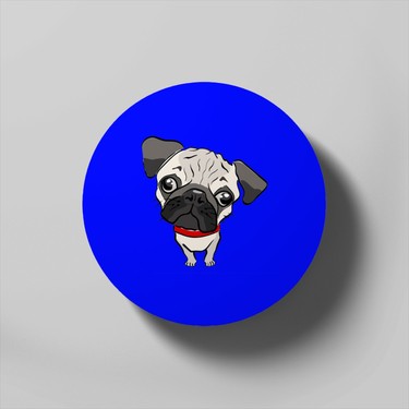 pug muzzle