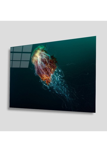 Sualtı Canlıları Cam Tablo 4mm Dayanıklı Temperli Cam