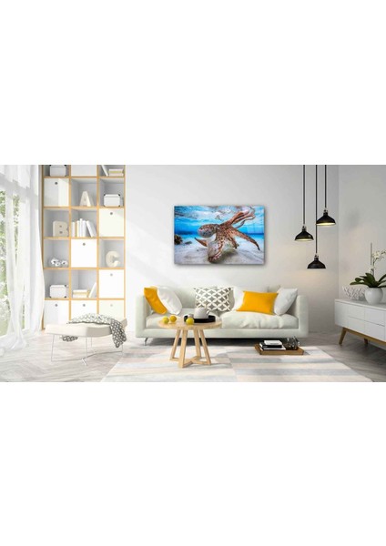 Sualtı Canlıları Cam Tablo 4mm Dayanıklı Temperli Cam fiyatları