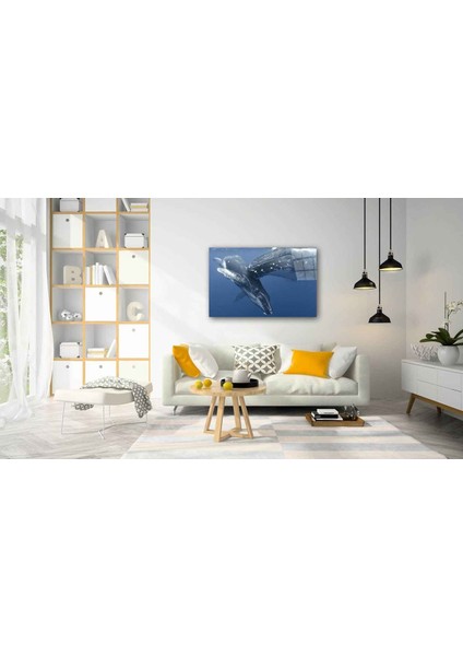 Sualtı Canlıları Cam Tablo 4mm Dayanıklı Temperli Cam fiyatları