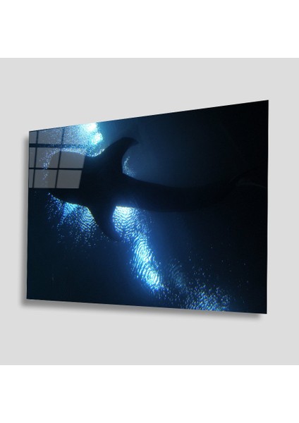 Sualtı Canlıları Cam Tablo 4mm Dayanıklı Temperli Cam