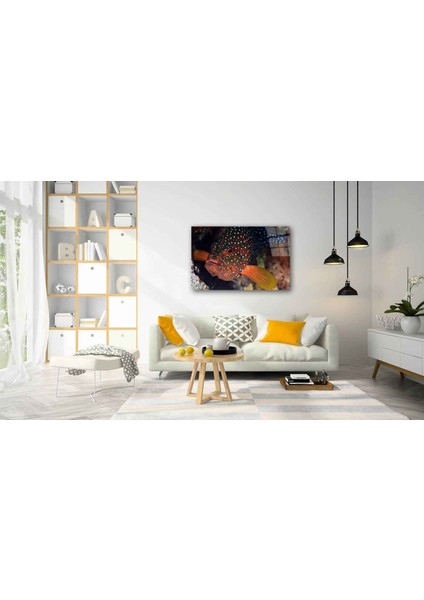 Sualtı Canlıları Cam Tablo 4mm Dayanıklı Temperli Cam fiyatları