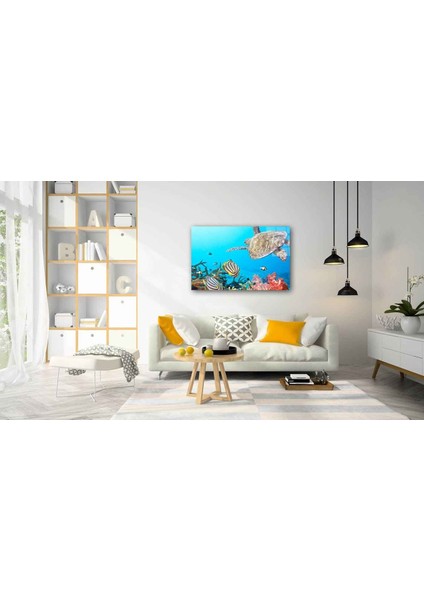 Sualtı Canlıları Cam Tablo 4mm Dayanıklı Temperli Cam fiyatları