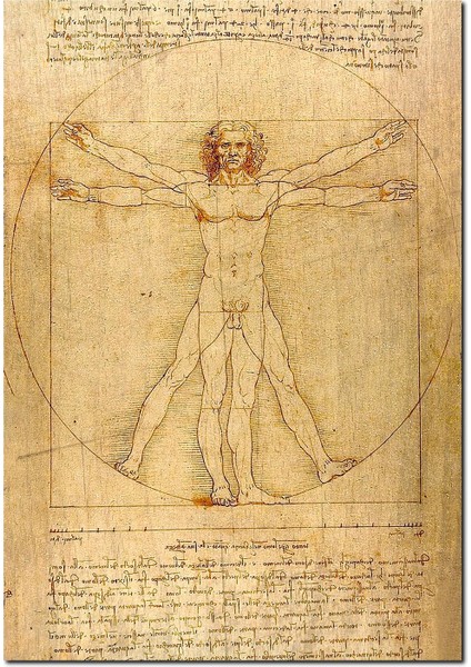 Cakatablo Ahşap Tablo Leonardo Da Vinci Insan Anatomisi Görseli