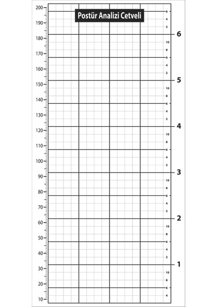 Postür Analiz Cetveli 1 M X 2 M