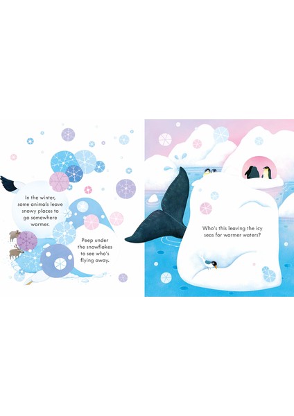 Peep Inside Snowy Places