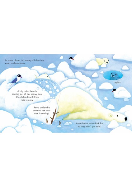 Peep Inside Snowy Places