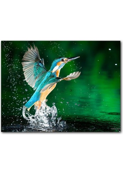Cakatablo Ahşap Tablo Havalanan Sinekkuşu ve Su Damlacıkları