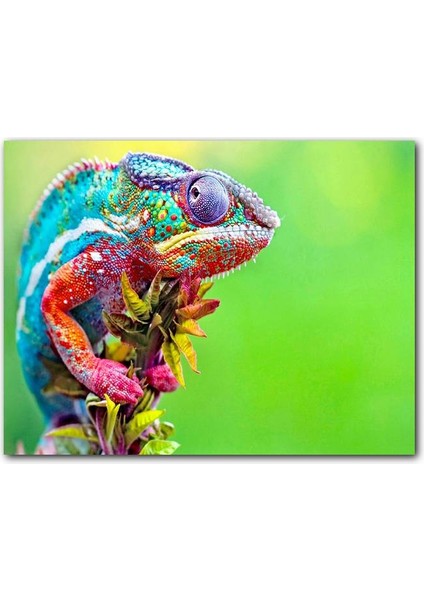 Cakatablo Ahşap Tablo Yeşil Arkaplan ve Dalda Rengarenk Bukalemun