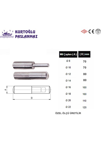 Paslanmaz 14 mm Mil Menteşe 304 Kalite