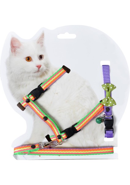 Kedi Göğüs Bel Gezdirme Takımı - Boyun Tasması