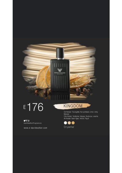 Kingdom E176 100 ml Erkek Parfüm