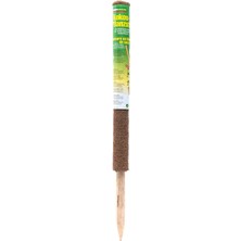 Windhager Coconut Bitki Çubuğu- 60CM