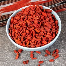 Ucuzluk Diyarı 10 Adet Goji Berry Fidanı ( Nq1 ) Saksıdadır