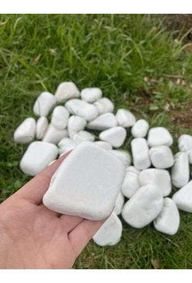 Elysian Beyaz Dolomit Taş 2 kg 4-8 cm Peyzaj Taşı Dekoratif Akvaryum Bahçe Süs Taşları Saksı Taşı