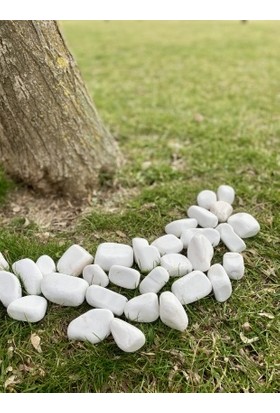 Elysian Beyaz Dolomit Taş 5 kg 4-8 cm Peyzaj Taşı Dekoratif Akvaryum Bahçe Süs Taşları Saksı Taşı