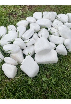 Elysian Beyaz Dolomit Taş 10 kg 4-8 cm Peyzaj Taşı Dekoratif Akvaryum Bahçe Süs Taşları Saksı Taşı