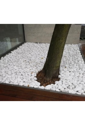 Elysian Beyaz Dolomit Taş 10 kg 4-8 cm Peyzaj Taşı Dekoratif Akvaryum Bahçe Süs Taşları Saksı Taşı