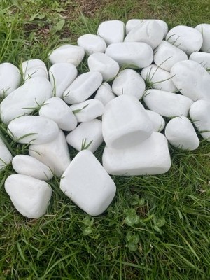 Elysian Beyaz Dolomit Taş 2 kg 4-8 cm Peyzaj Taşı Dekoratif Akvaryum Bahçe Süs Taşları Saksı Taşı