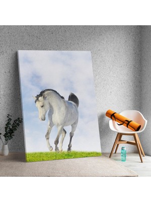 Deko Gonya Beyaz Kırda At Kanvas Tablo