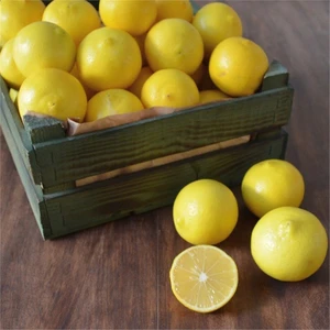 Reyon Bahçe 3 Yaş Aşılı Tatlı Limon Fidanı Torbada